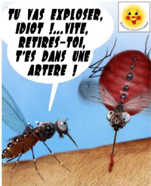 moustique 0001-humourenvrac